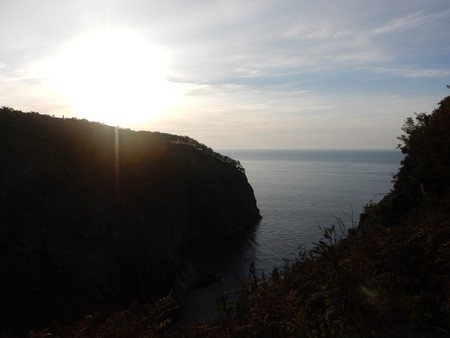 f:id:sumireneko:20200930160638j:plain f:id:sumireneko:20200930160638j:plain