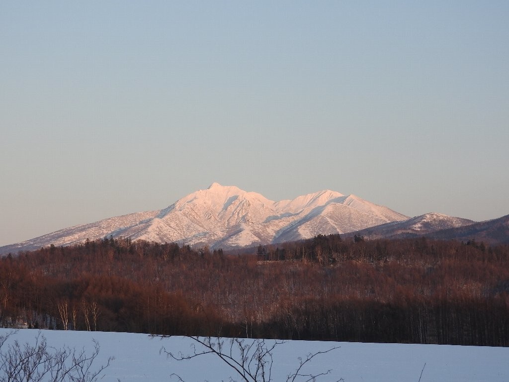 f:id:sumireneko:20210124193726j:plain