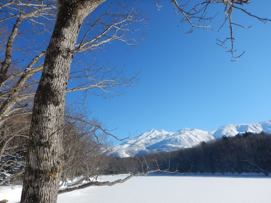 f:id:sumireneko:20210125172654j:plain