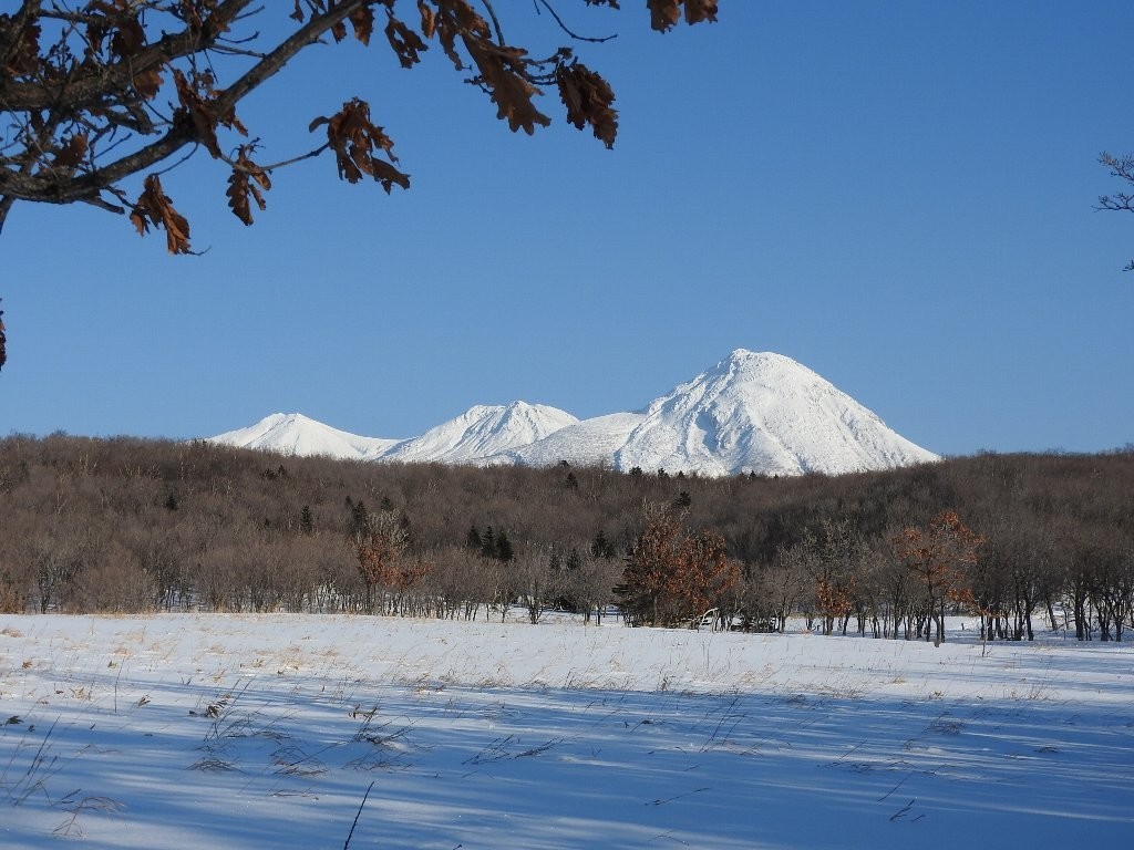 f:id:sumireneko:20210126171145j:plain