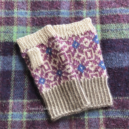 f:id:sumirenoomoide:20210131214921j:plain