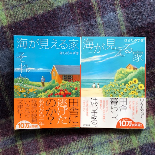 f:id:sumirenoomoide:20210131215814j:plain