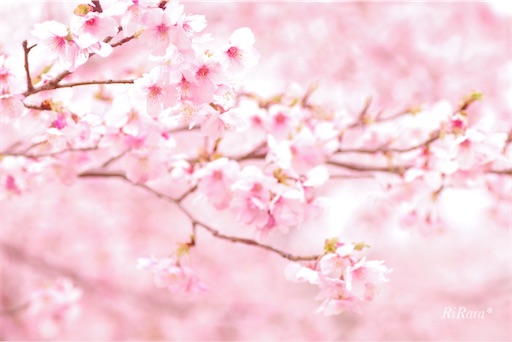 f:id:sumirenoomoide:20210307172227j:plain