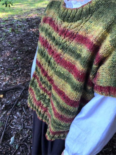 f:id:sumirenoomoide:20211207231901j:plain