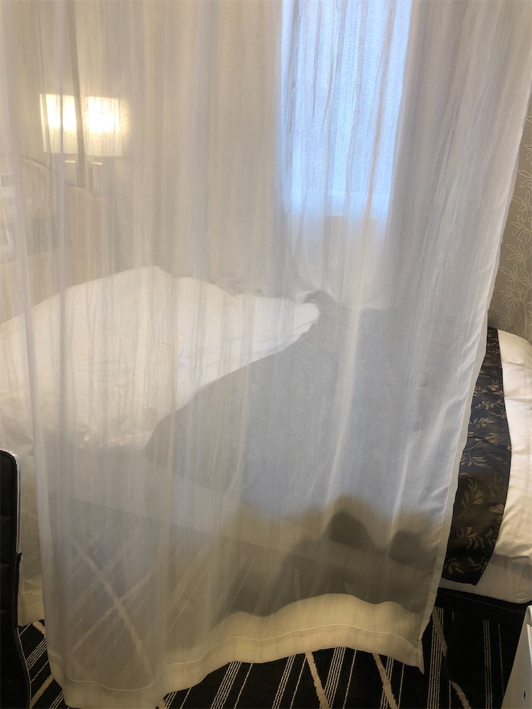 f:id:sumiresakurai:20200908185323j:plain