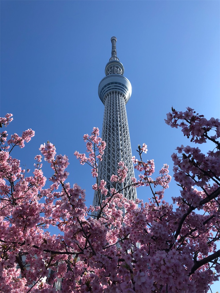 f:id:sumiresakurai:20210303063333j:image