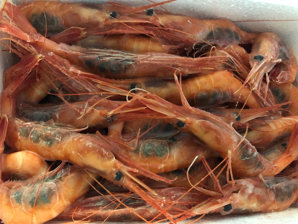 f:id:sumiresakurai:20210905085319j:image