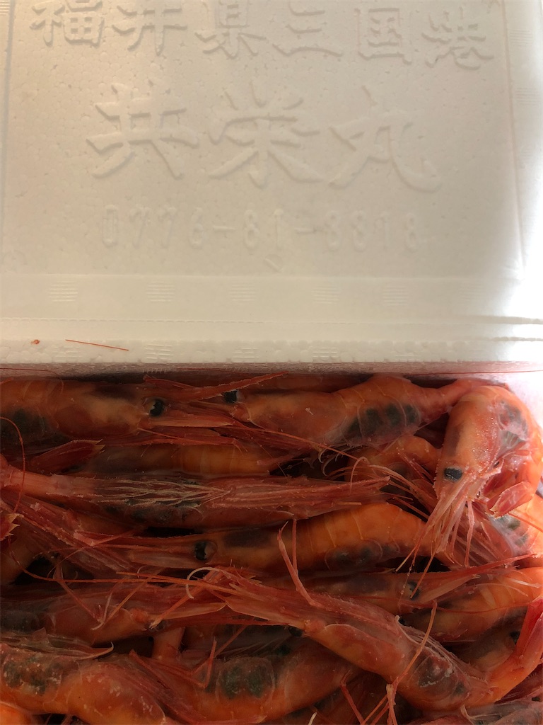 f:id:sumiresakurai:20210905085323j:image