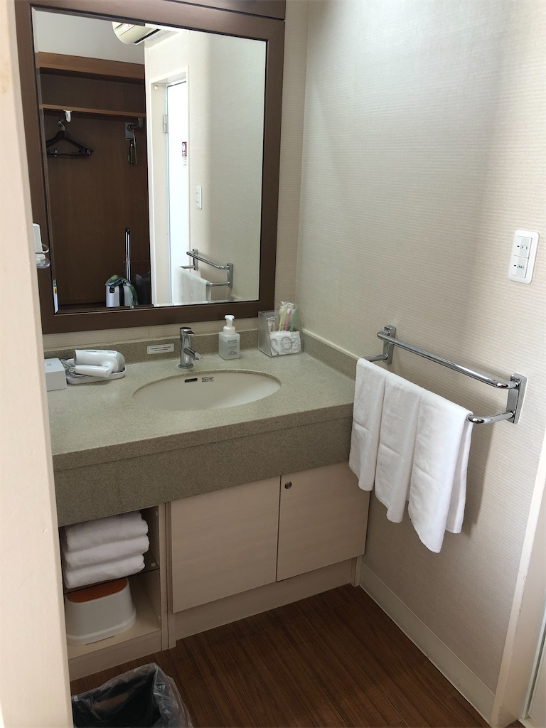 f:id:sumiresakurai:20220108163150j:image