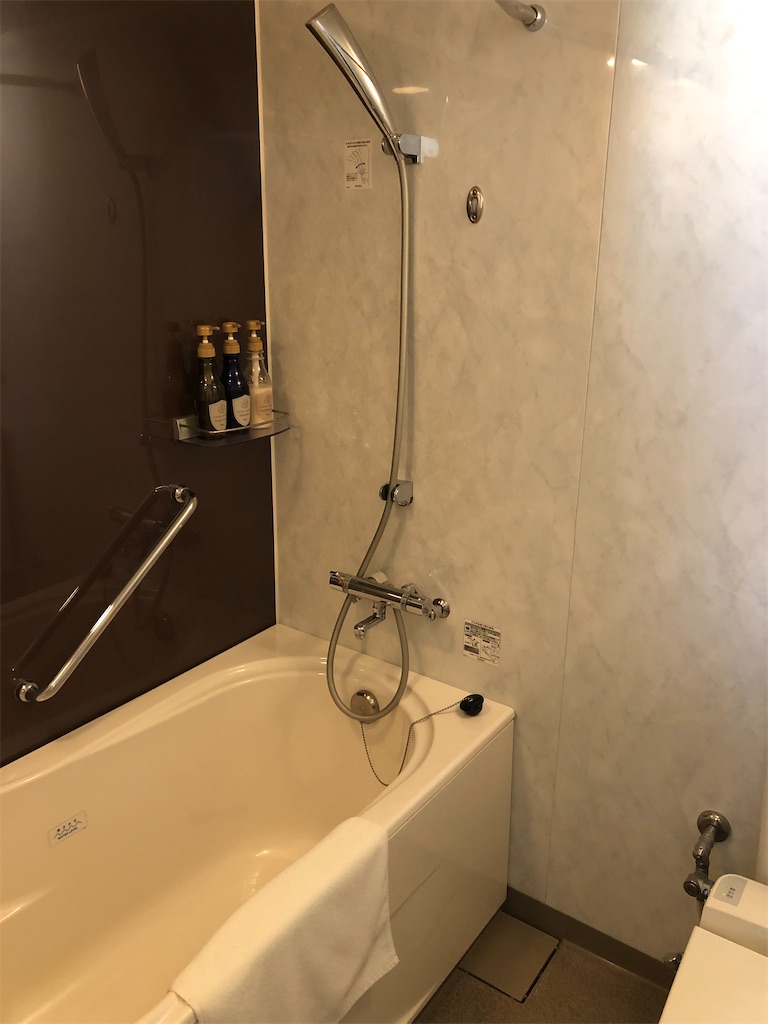 f:id:sumiresakurai:20220108163448j:image