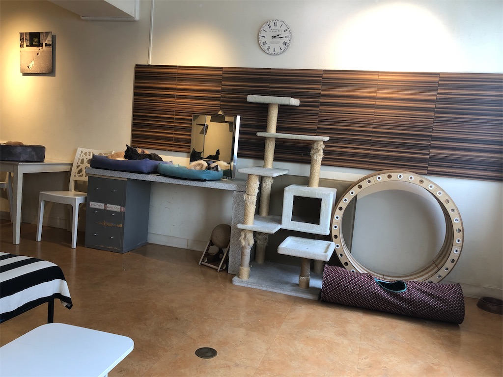 f:id:sumiresakurai:20220818095052j:image