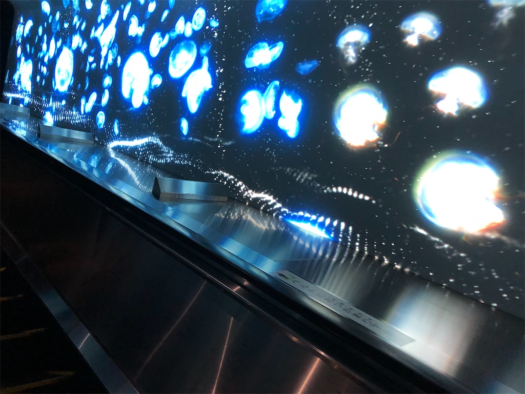 f:id:sumiresakurai:20221203141714j:image