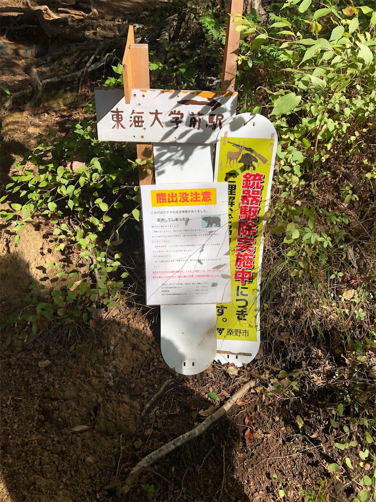 f:id:sumiresakurai:20231122141345j:image