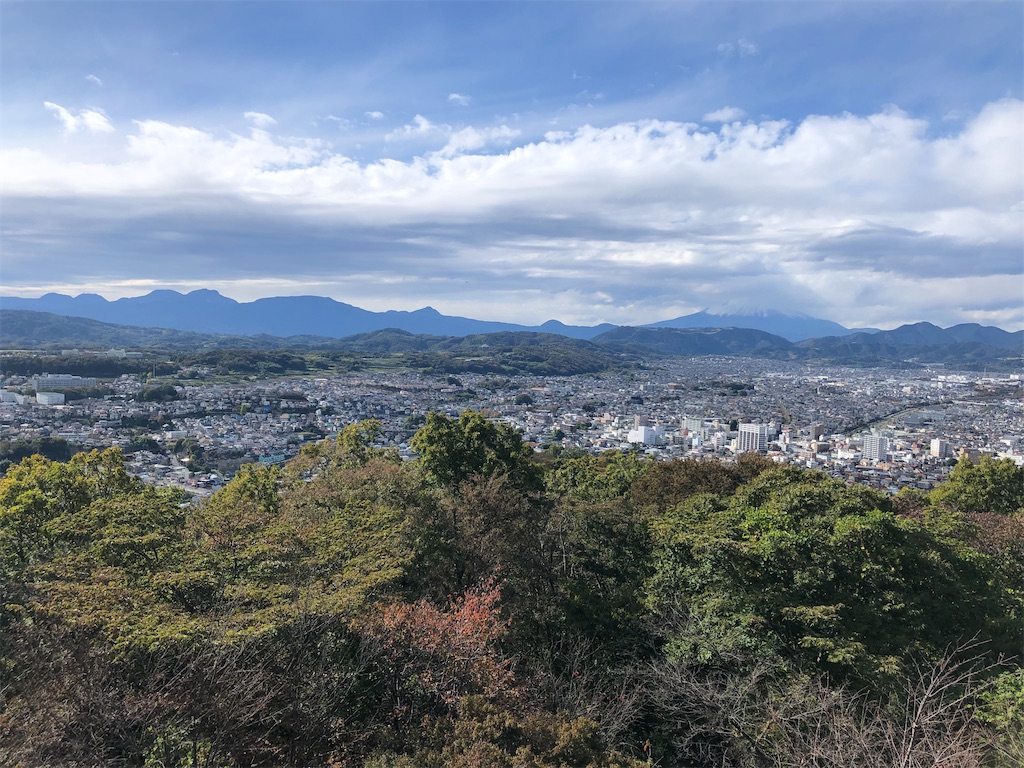 f:id:sumiresakurai:20231122141348j:image