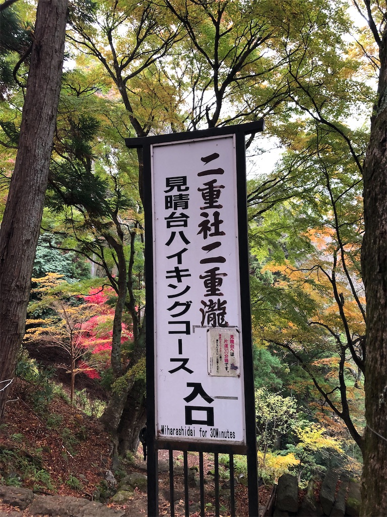 f:id:sumiresakurai:20231209105322j:image