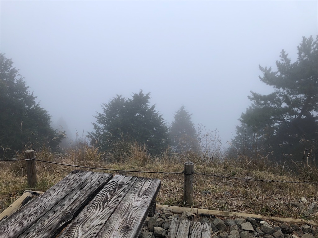 f:id:sumiresakurai:20231209105329j:image