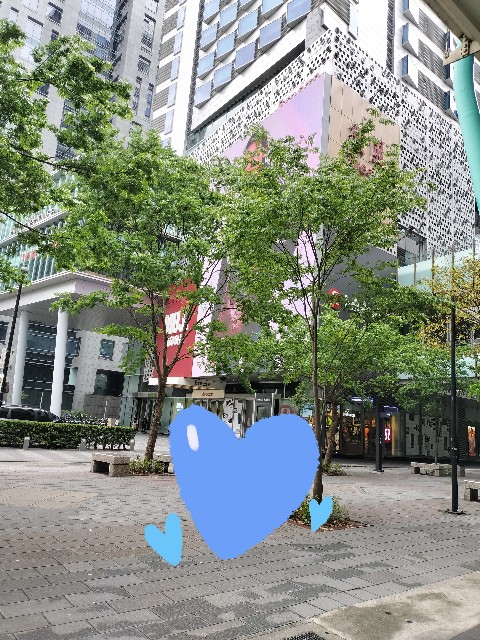 f:id:sumiresakurai:20240529200349j:image