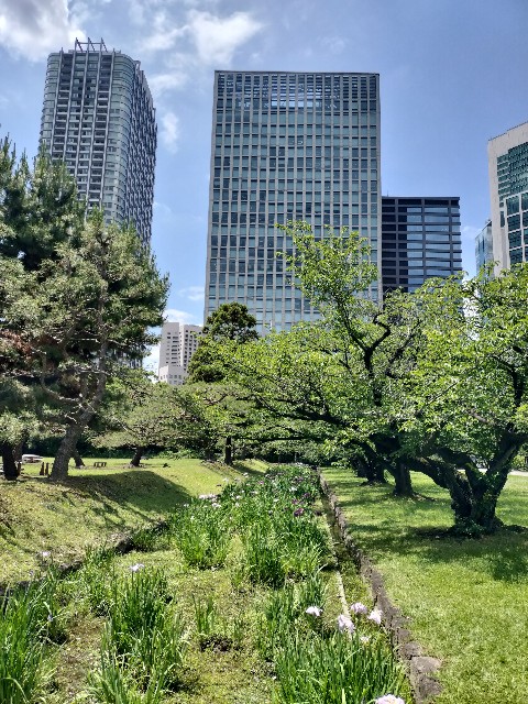 f:id:sumiresakurai:20240612171128j:image