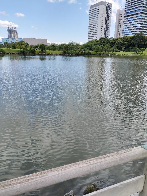 f:id:sumiresakurai:20240612171159j:image