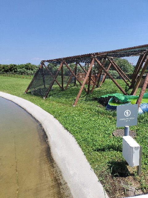 f:id:sumiresakurai:20240804111448j:image