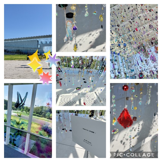 f:id:sumiresakurai:20240804111508j:image