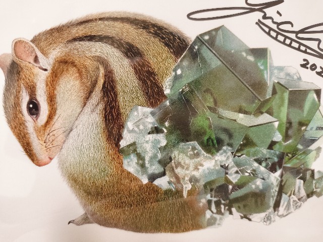 f:id:sumiresakurai:20250119231304j:image