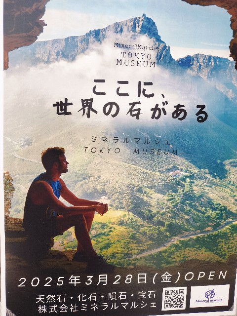 f:id:sumiresakurai:20250119231333j:image