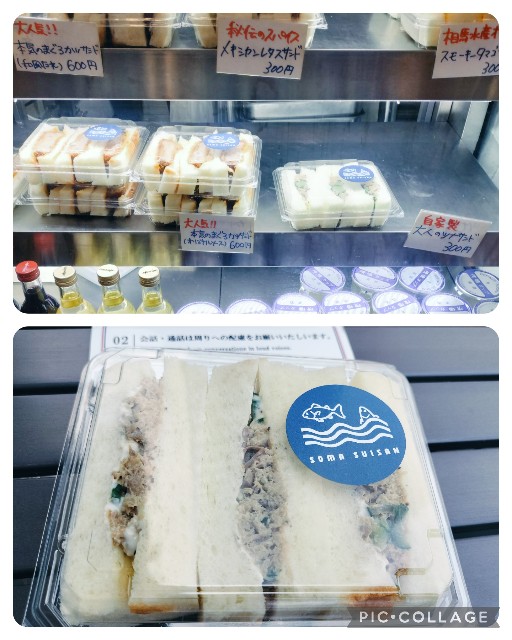 f:id:sumiresakurai:20250811152053j:image