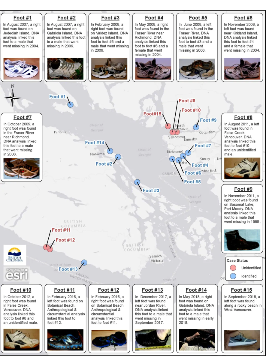 漂着する足のミステリー セイリッシュ海 いつしかついて来た犬と浜辺にいる 漂着する足のミステリー セイリッシュ海 いつしかついて来た犬と浜辺にいる
