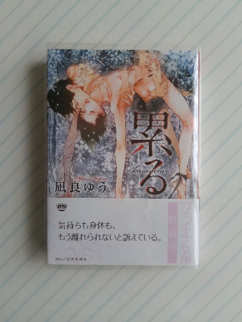f:id:sumiretaro:20260607140452j:image f:id:sumiretaro:20260607140452j:image