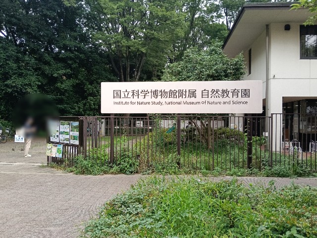 f:id:sumiretaro:20260712185053j:image f:id:sumiretaro:20260712185053j:image