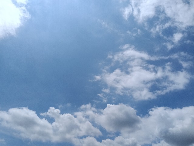 f:id:sumiretaro:20260719153707j:image f:id:sumiretaro:20260719153707j:image