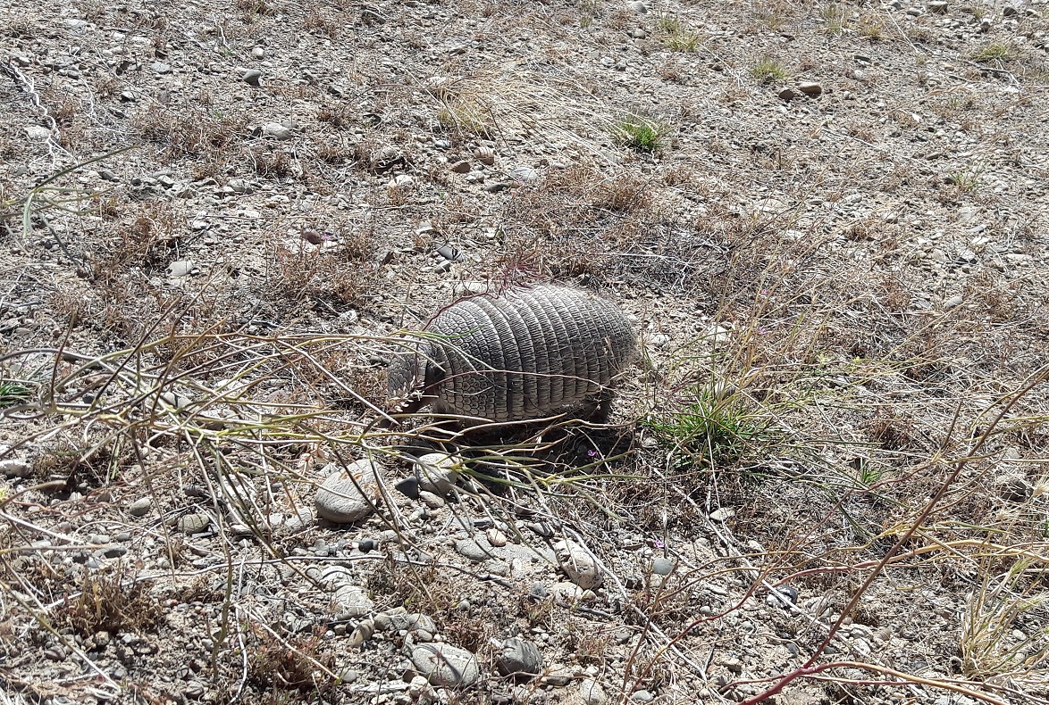 f:id:sumirett:20210209081002j:plain