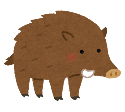 イノシシの画像