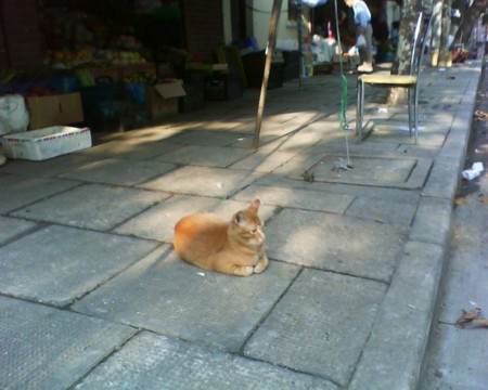 f:id:sumita-m:20091002193030j:image