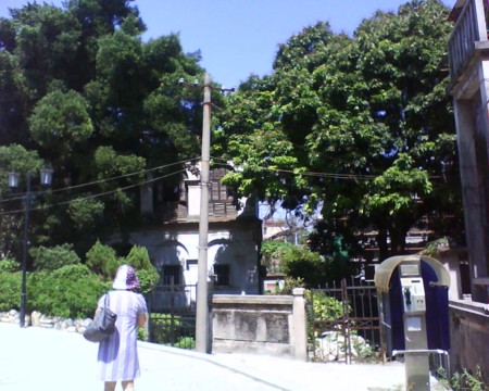 f:id:sumita-m:20100817114344j:image f:id:sumita-m:20100817114344j:image