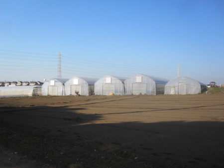 f:id:sumita-m:20111229095211j:image