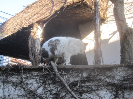f:id:sumita-m:20120220142444j:image f:id:sumita-m:20120220142444j:image