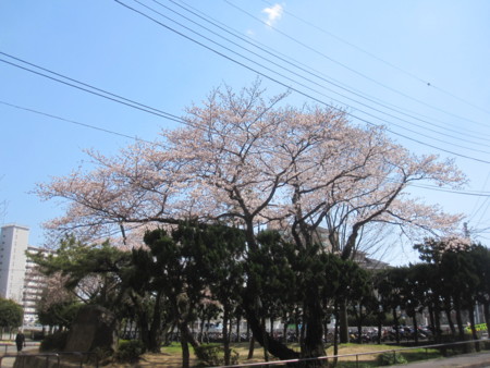 f:id:sumita-m:20120405130929j:image