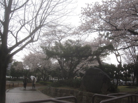 f:id:sumita-m:20130325123742j:image