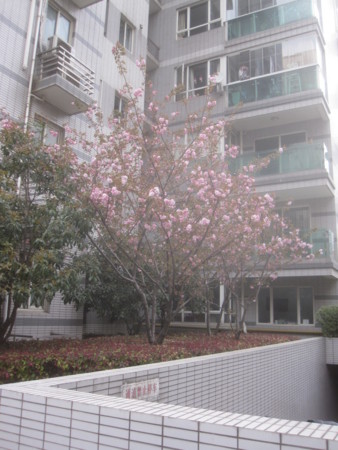 f:id:sumita-m:20130403164812j:image