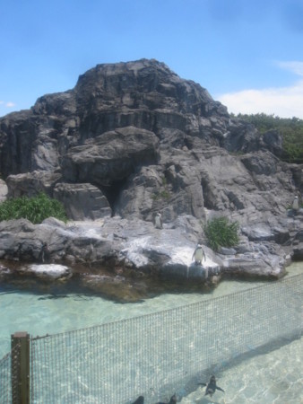 f:id:sumita-m:20130627113429j:image f:id:sumita-m:20130627113429j:image