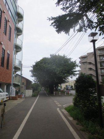 f:id:sumita-m:20140710104441j:image