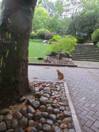 f:id:sumita-m:20140913115927j:image