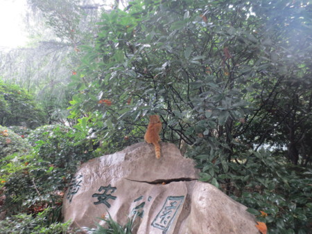 f:id:sumita-m:20140913121151j:image