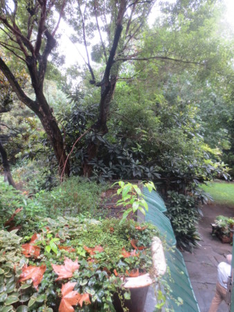 f:id:sumita-m:20140919140827j:image