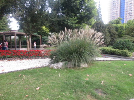 f:id:sumita-m:20140926160934j:image