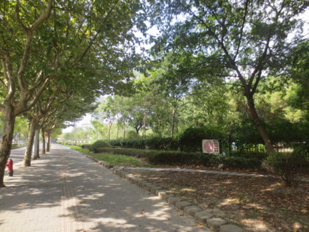 f:id:sumita-m:20141012130956j:image f:id:sumita-m:20141012130956j:image