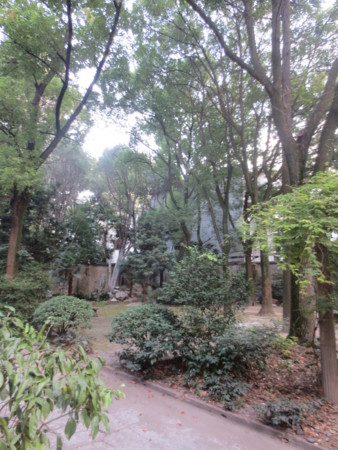 f:id:sumita-m:20141026144612j:image