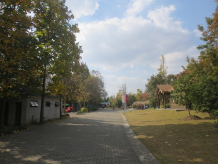 f:id:sumita-m:20141115121401j:image